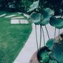 В'єтнам Salinda Resort Phu Quoc Island