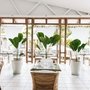 Маврикій Paradis Cove Boutique Hotel (Adults only)