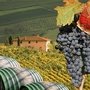 Вина и деликатесы Тосканы и Чинкве Терре, 122