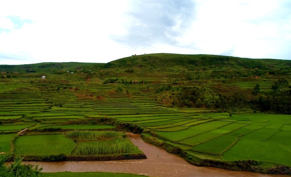 Маврикий + Мадагаскар