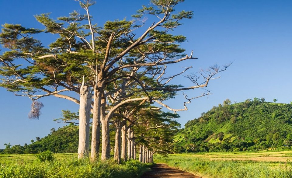 Маврикий + Мадагаскар